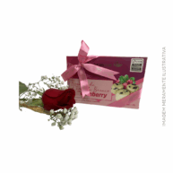 Rosa Vermelha + Bombom de chocolate branco e Cranberry