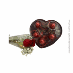 Rosa Vermelha com Amore Mio